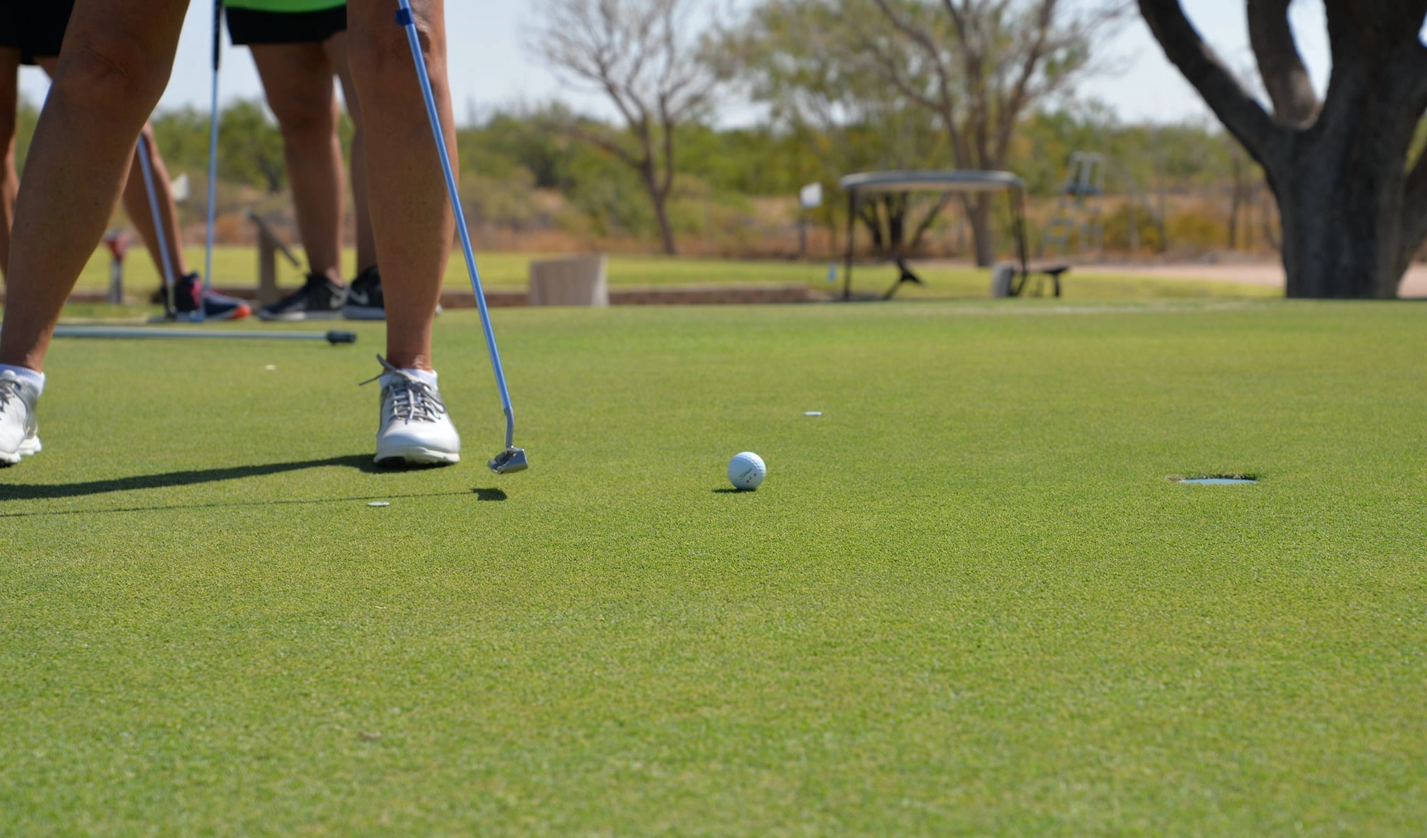 Crane County Golf Course Members