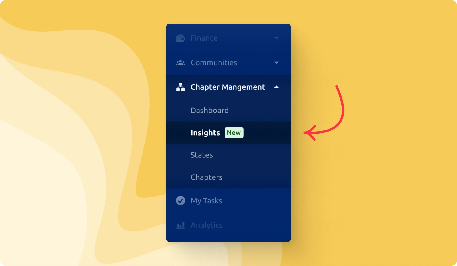 Chapter management handbook